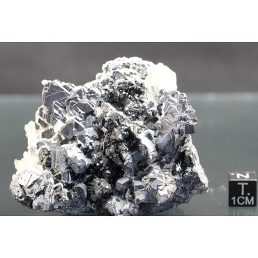 Mineral blenda + galena