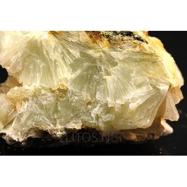 Mineral prehnita