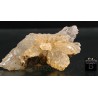 Yeso cristalizado mineral de coleccion X3235