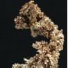 Plata nativa mineral de españa X3301 - Litos