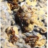 Jarosita mineral de españa  - Litos