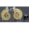 Ammonite fosilizado pendientes