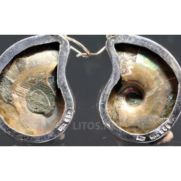 Ammonite fosilizado pendientes