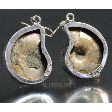 Ammonite fosilizado pendientes