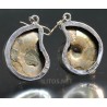 Ammonite fosilizado pendientes