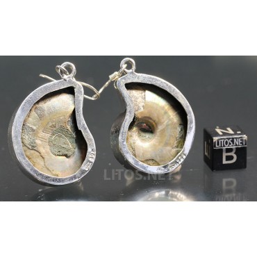 Ammonite fosilizado pendientes