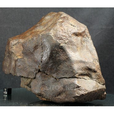 Meteorito NWA