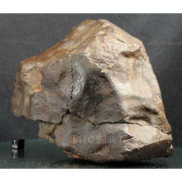 Meteorito NWA