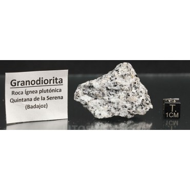 Roca granodiorita