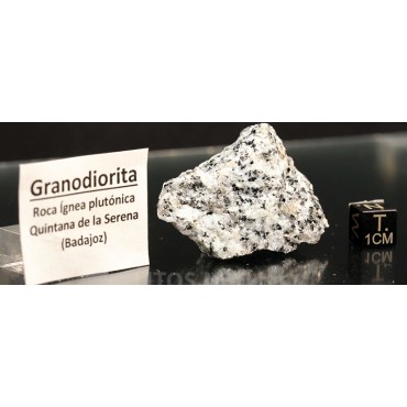 Roca granodiorita