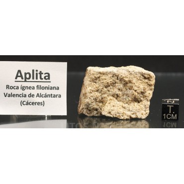 Aplita