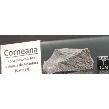 Corneana