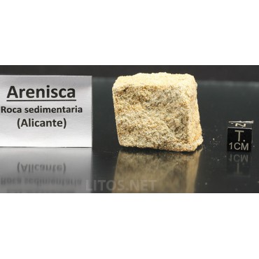 Arenisca