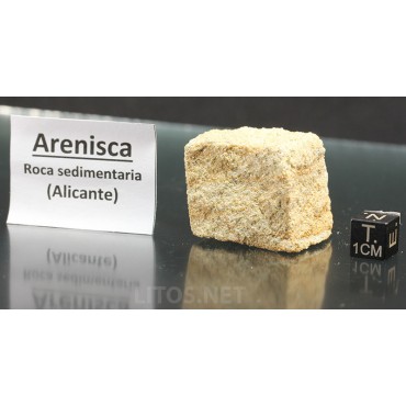 Arenisca