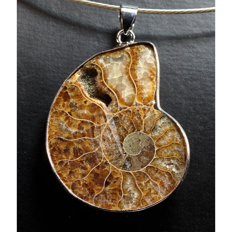 Ammonite colgante