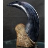 Utahraptor