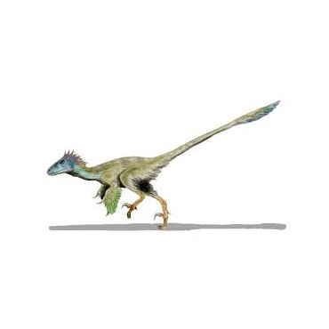 Utahraptor ostrommaysorum