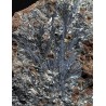 Mineral pirolusita