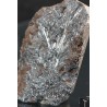 Mineral pirolusita