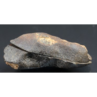 Meteorito NWA