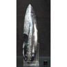 Orthoceras michelinoceras s.p. fosil