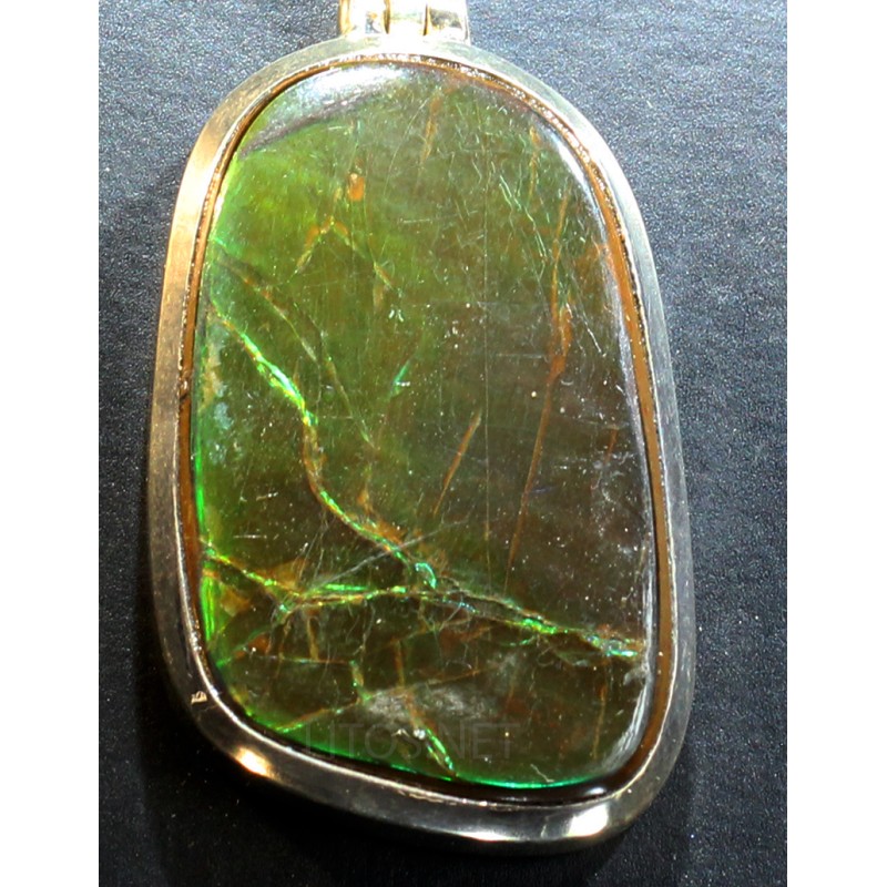 Ammolite