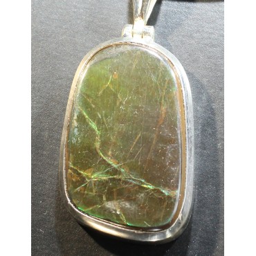 Ammolite