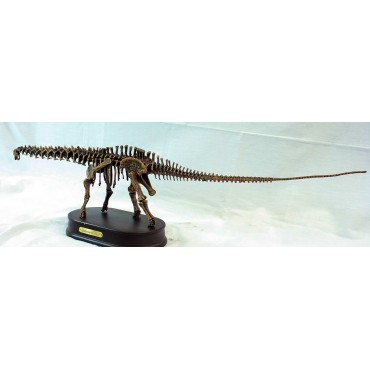 Apatosaurio-DINOSAURIOS