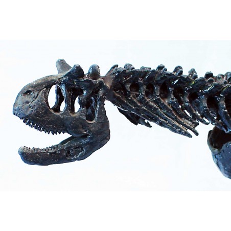 Carnotauro-DINOSAURIOS Carnotauro-DINOSAURIOS