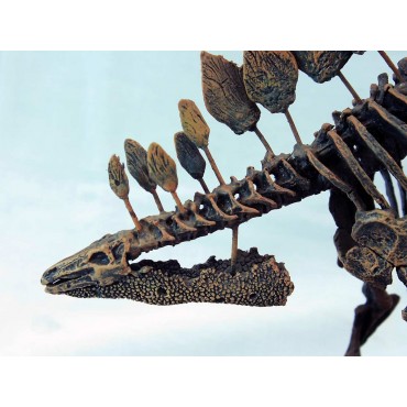 Estegosaurio-DINOSAURIOS
