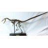Velocirraptor-DINOSAURIOS