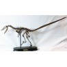 Velocirraptor-DINOSAURIOS