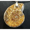Colgante de ammonite fosilizado