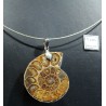 Colgante de ammonite fosilizado
