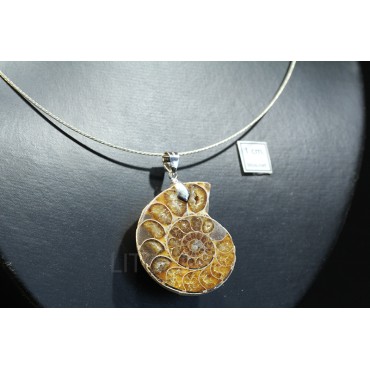 Colgante de ammonite fosilizado
