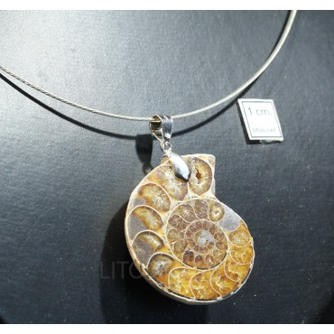 Colgante de ammonite fosilizado