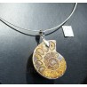 Colgante de ammonite fosilizado