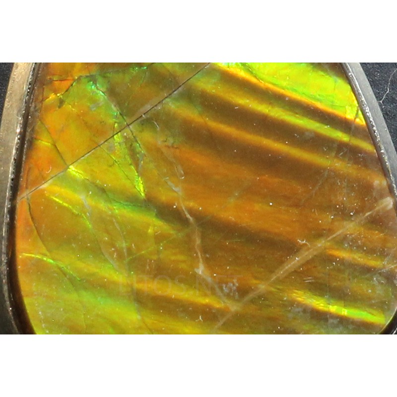 Ammolite