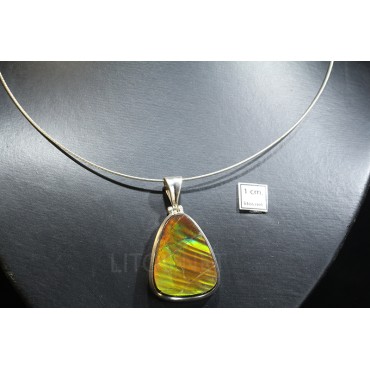 Ammolite