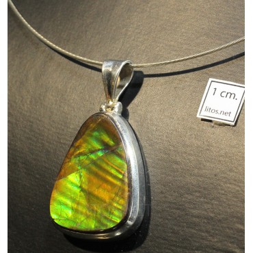 Ammolite