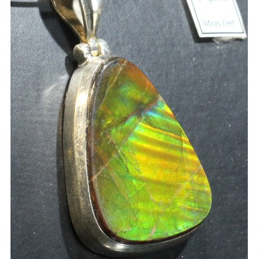 Ammolite