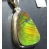 Ammolite