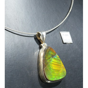 Ammolite