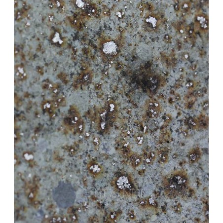 Meteorito NWA 4431 MET859 Meteorito NWA 4431 MET859
