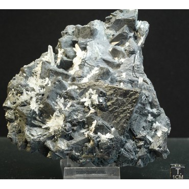 Tetrahedrita