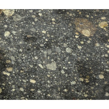 Condrita rumuruti CR