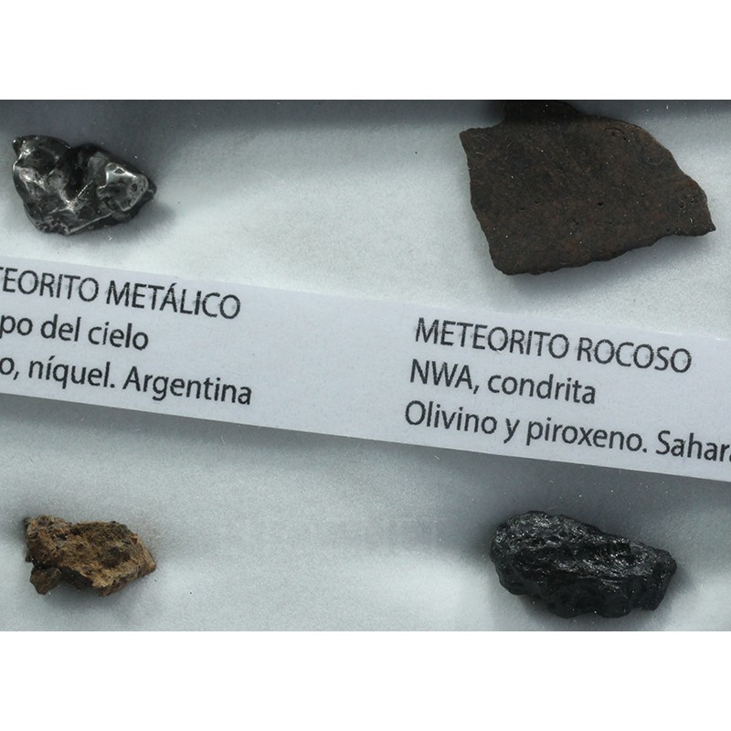 Colección de meteoritos y tectita