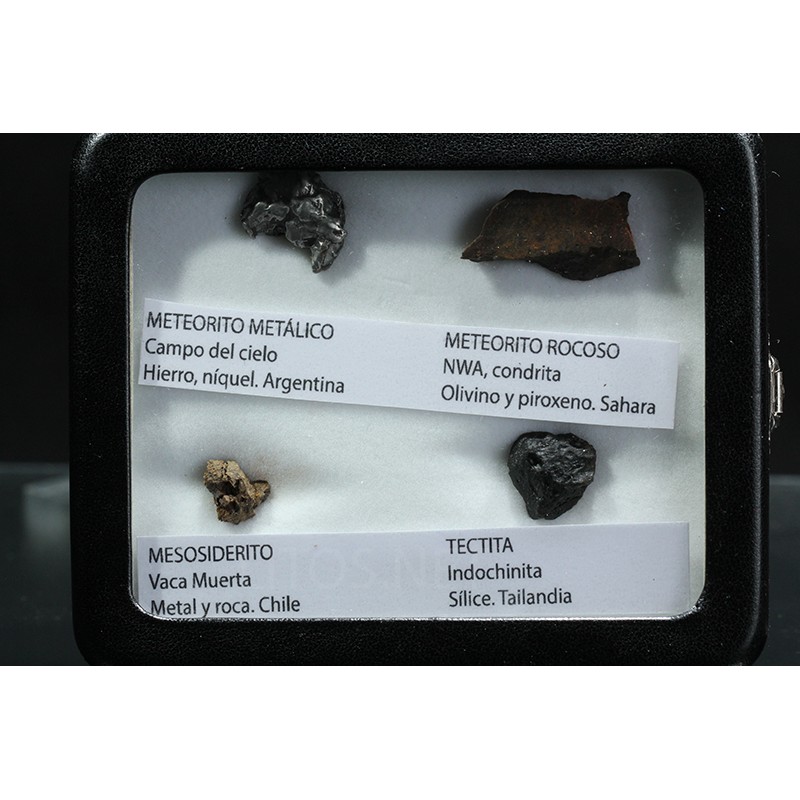 Colección de meteoritos y tectita