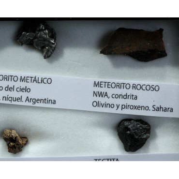 Colección de meteoritos y tectita