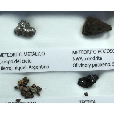 Colección de meteoritos y tectita